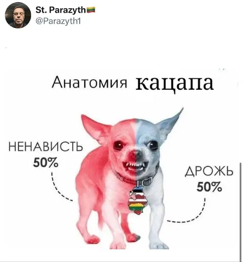 Анатомия кацапа: ненависть и дрожь