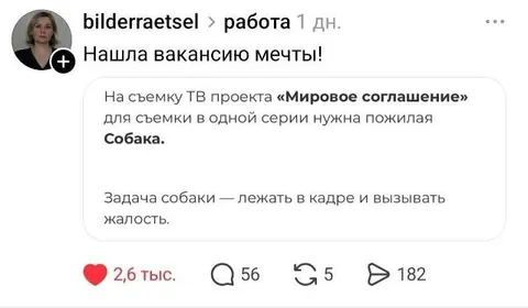 Вакансия мечты для собаки