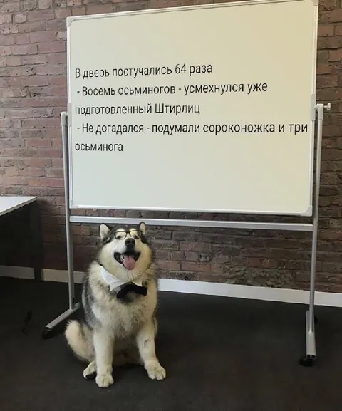 Штирлиц и 64 стука