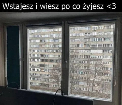 Wstajesz i wiesz po co żyjesz