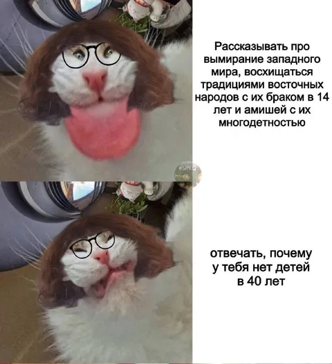 Почему у тебя нет детей в 40 лет