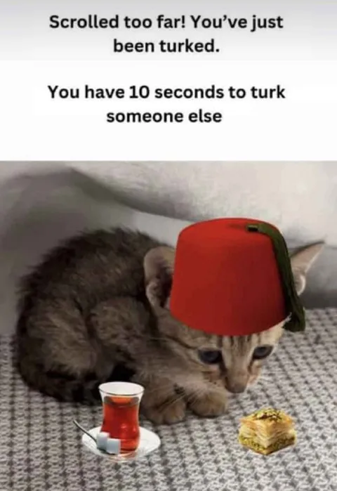You’ve Just Been Turketøy