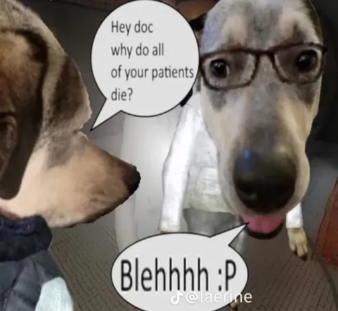 Dog Doctor Patients Die