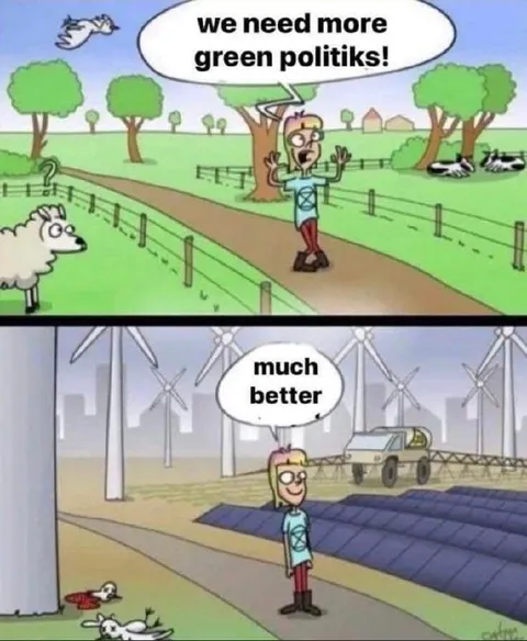 We Need More Green Politics