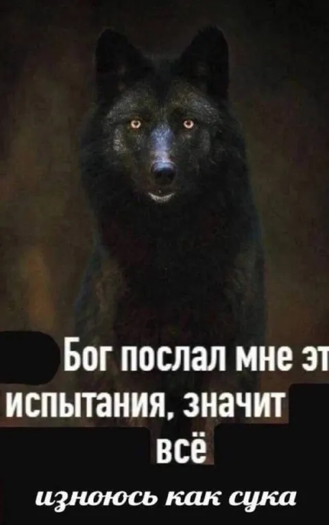 Бог послал мне испытания