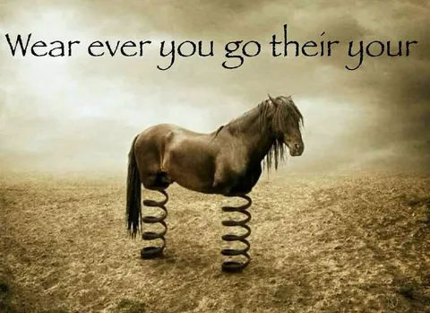 Horse on Springs