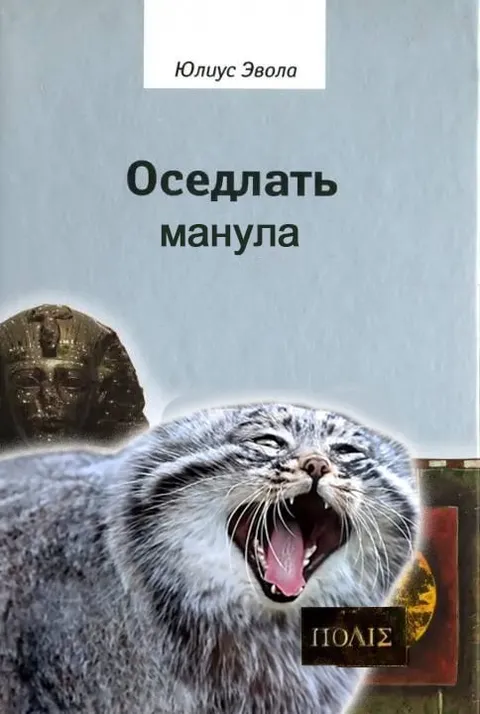 Оседлать манула