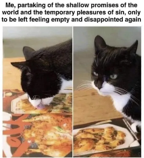 Temporary Pleasures, Lasting Disappointment