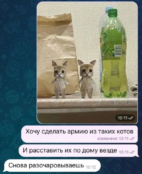 Армия маленьких котов по дому