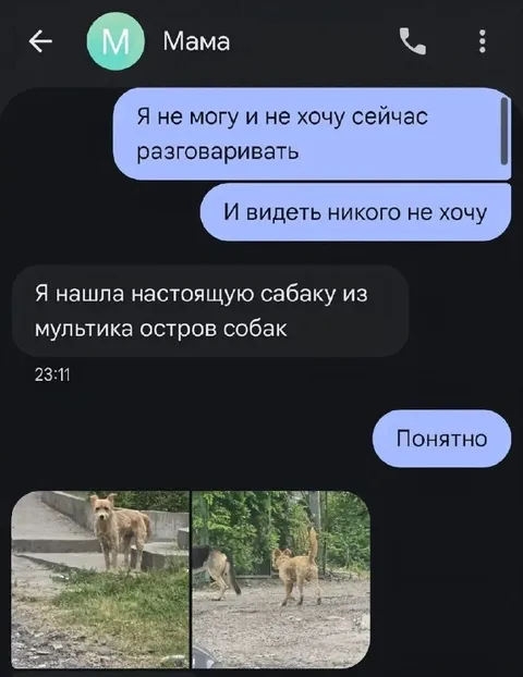 Мама нашла собаку из мультика