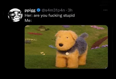 Her Asks If I’m Stupid
