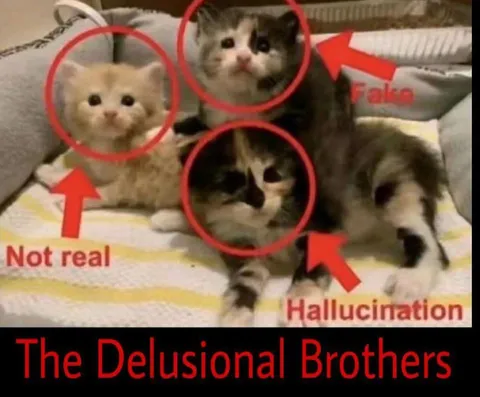 The Delusional Brothers
