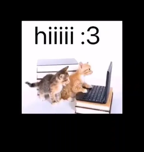 Hiiii :3 Cat Compilation