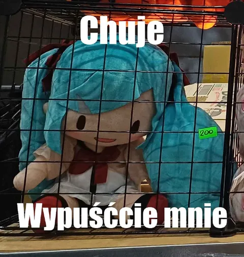 Chuje, wypuśćcie mnie