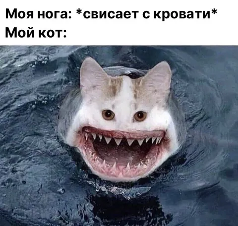 Кот не даст упасть с кровати