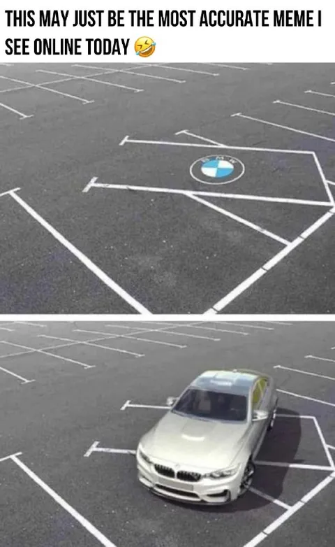 Most Accurate Parking Meme