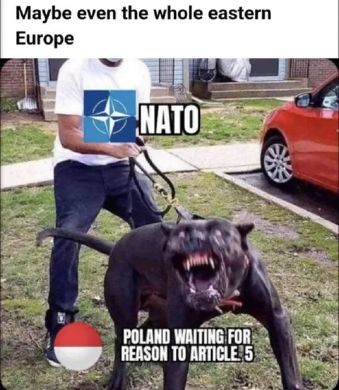Poland Waiting for Article 5