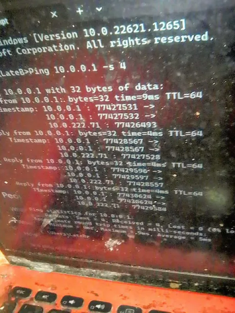 Windows Ping Command Fails
