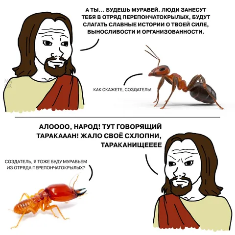 Создатель назначает таракана муравьём