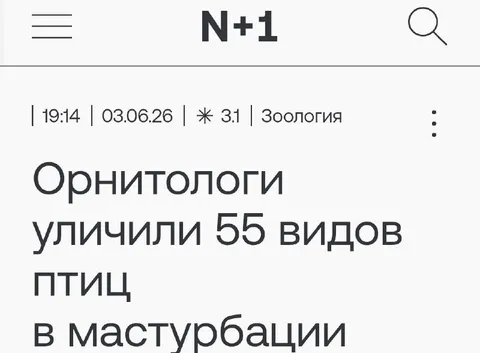 Птицы и мастурбация