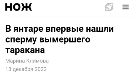 Сперму вымершего таракана нашли