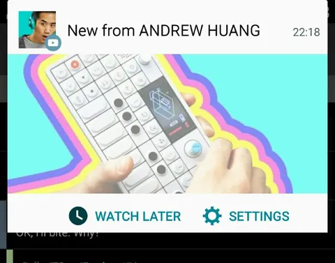 New from Andrew Huang
