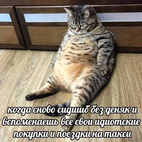 Снова без денег после покупок