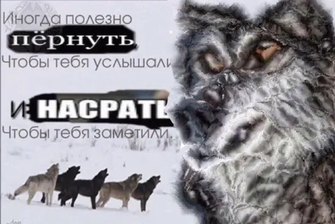 Иногда полезно пернуть и насрать