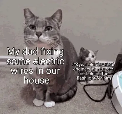 Cat Helps Dad Fix Wires
