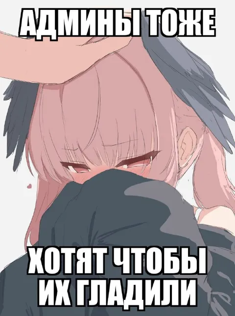 Админы тоже хотят внимания
