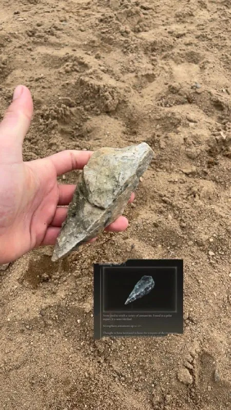 Fossil Found in the Sand