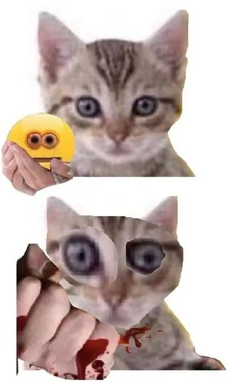 Кот с огромными глазами