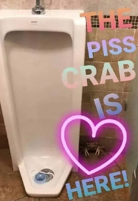 The Piss Crab Is Here