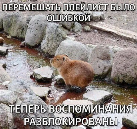 Перемешать плейлист было ошибкой