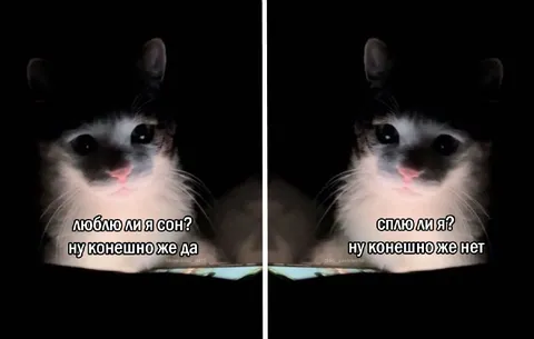 Люблю ли я сон