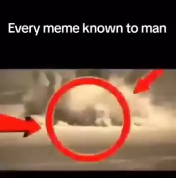 Every Meme Known to Man
