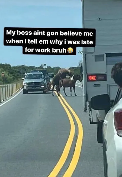 Boss Won’t Believe Why I’m Late