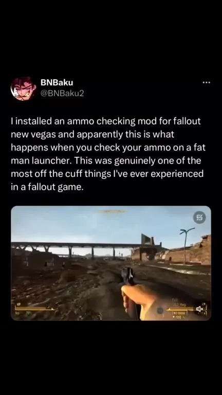 Fallout Ammo Check Goes Wrong