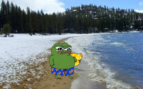 Пепе на зимнем пляже