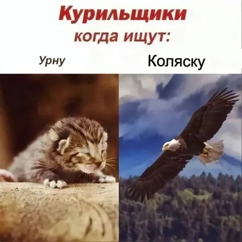 Курильщики ищут урну и коляску