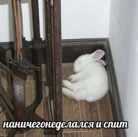 Нанишегонеделался и спит