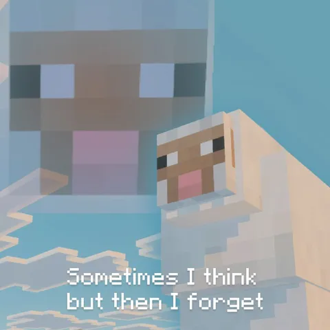 Sometimes I Think but Forget