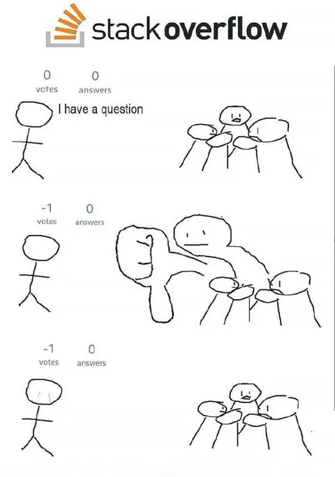 Stack Overflow Gets Downvoted