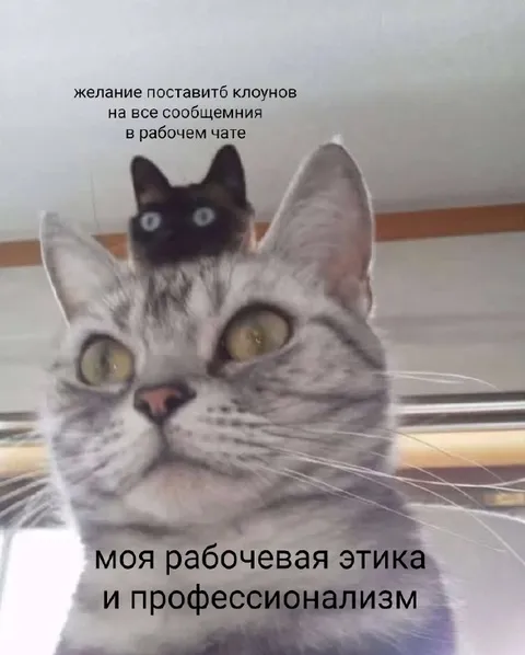 Клоуны в рабочем чате