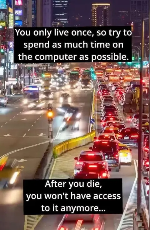 You Only Live Once Computer Meme