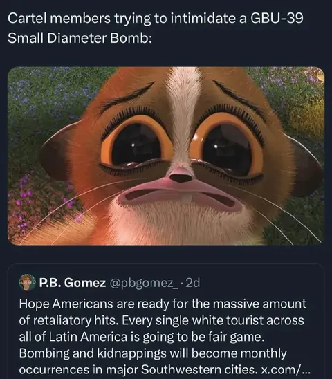 Cartel Threatens the Sad Cat