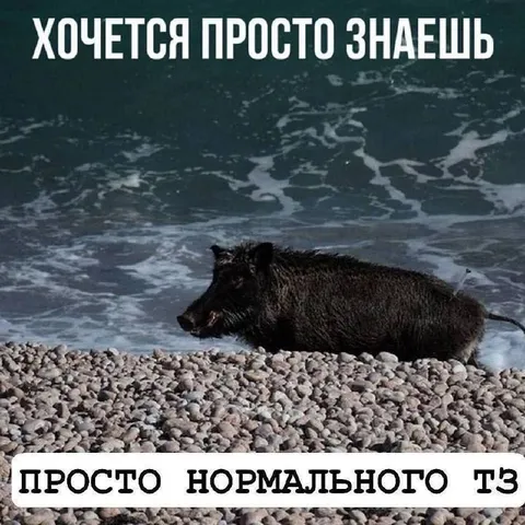 Кабан просто нормального тз