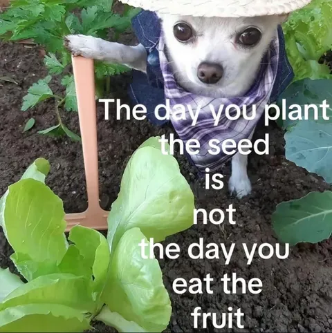 Planting Seed Patience