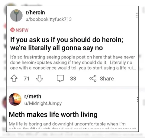 Meth Makes Life Worth Living