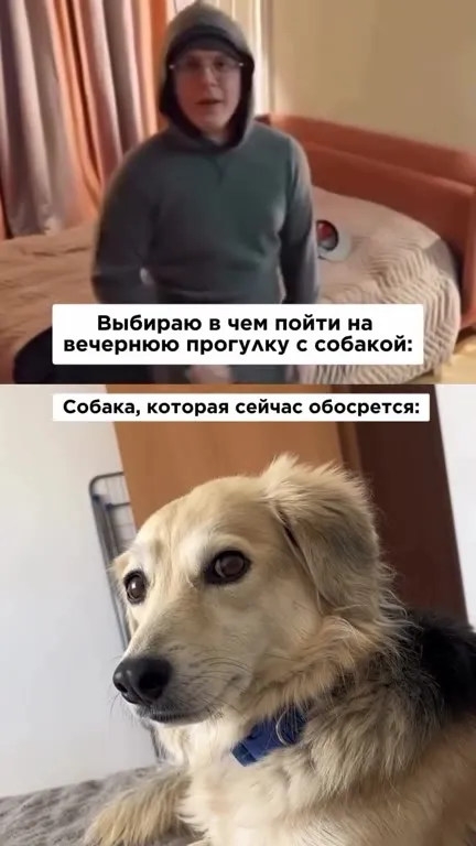 Собирается на прогулку с собакой